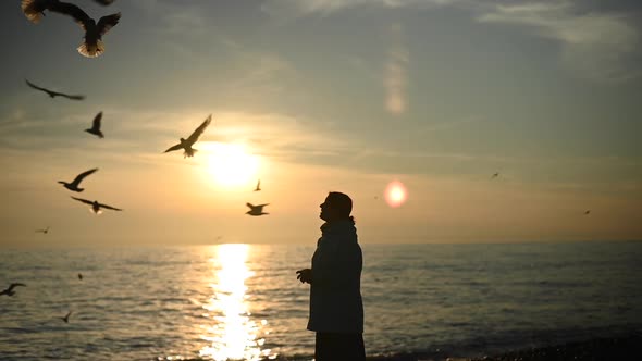 Caucasian Woman Feeding Seagulls on the Sea at Sunset