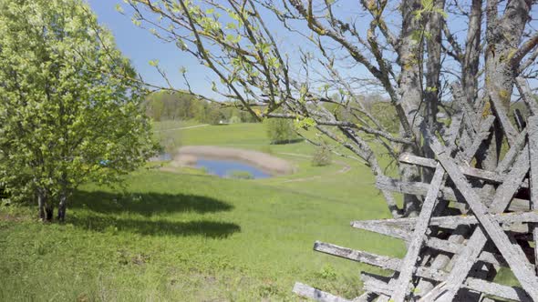 Panorama of the blooming nature of Latvia in spring