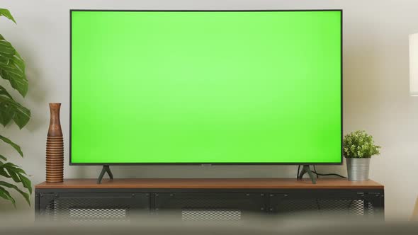 Zoom out shot of TV Green Screen in living room with tree and lamps