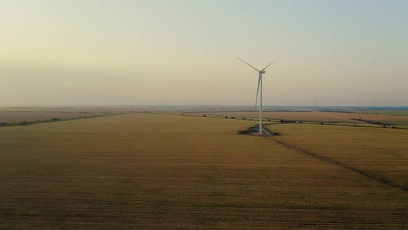 Aerial View of a Wind Farm in Rural Mowed Fields on a Beautiful Summer Sunset