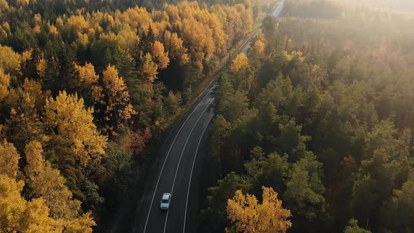 A Column of Cars is Driving Along the Highway in the Middle of Autumn Yellow Trees Aerial View