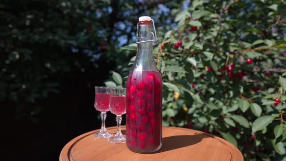 Homemade cherry brandy in two glasses and in a glass bottle in summer garden