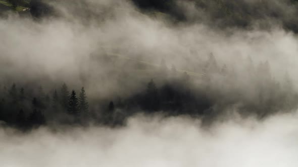 Clouds and Mist in Mountain, High Peaks with Forest, Wonderful Morning Sunrise Natural Landscape