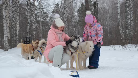 Woman with Daughter Petting Sledge Dogs on Snow