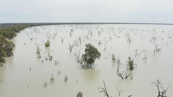 Aerial shot of Lake with dead trees in the water