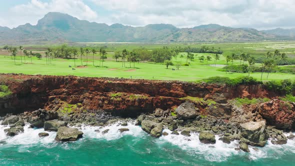 Green Trees on Golf Field Grass Background Summer Landscape on Sunny Hawaii