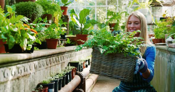 Beautiful woman holding wicker basket with fresh plant