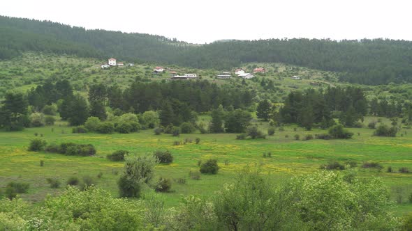 Small Village near the Pasture