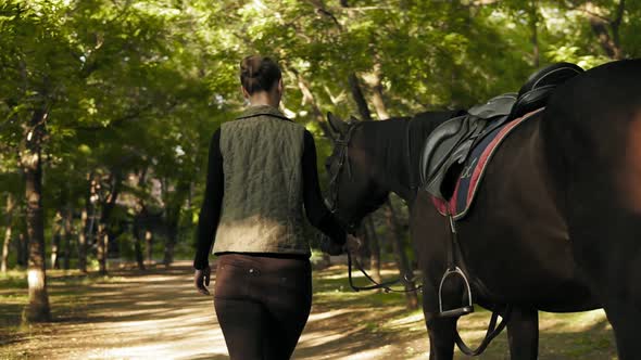 Back View of Young Brunette Jokey Girl Walking with Horse in the Park During Sunny Day