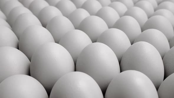 Countless Rows Of White Eggs