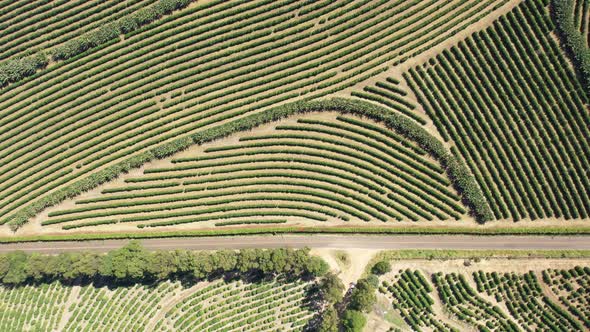 Rural landscape aerial view. Nature scenery