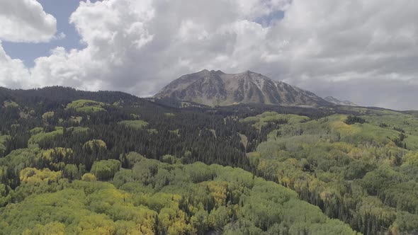 Fall foliage by Crested Butte, CO