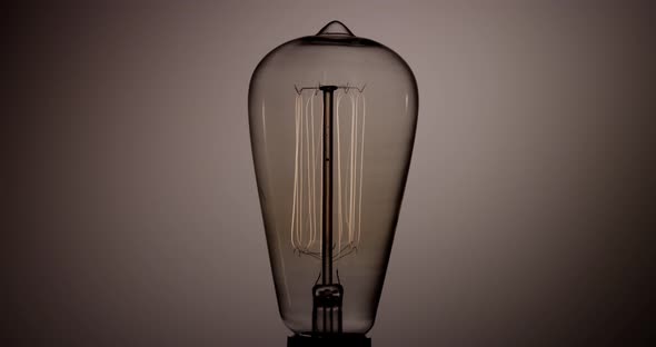 Light Bulb 