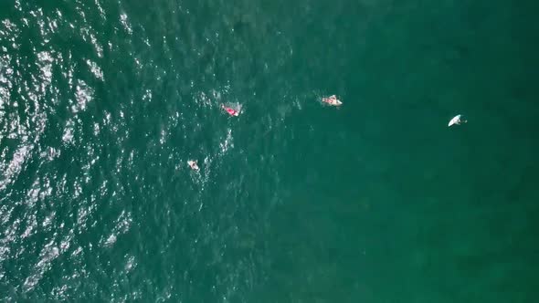 DOWN FILMING SURFERS PADDLING IN PACIF OCEAN