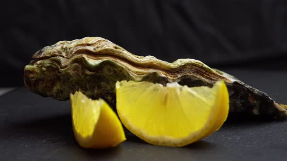 Romarinka Oyster with a Slice of Lemon Rotates on a Black Background Seafood Fresh Clam in a Shell