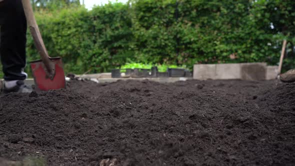 Workers Spreading Soil Compost Mix Into Garden Bed Ready For Planting