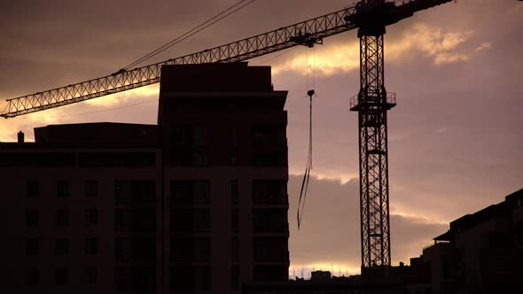 Time Lapse Crane Left Standing Over Night