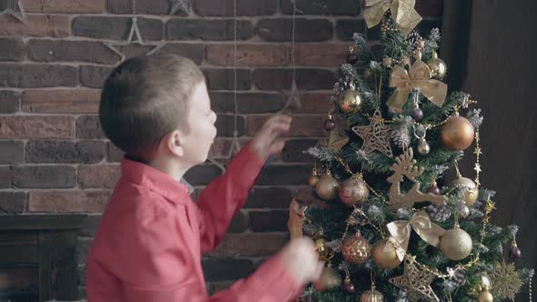 Little Boy Touches Golden Balls on Decorated Christmas Tree