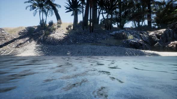 Tropical Island of Maldives in Ocean alt