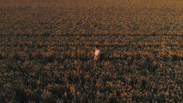 Aerial View Woman Walks Among a Wheat Field at Sunset or Sunrise Drone Shot