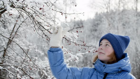 Smiling Girl Touching Snowcovered Branches in Winter Forest