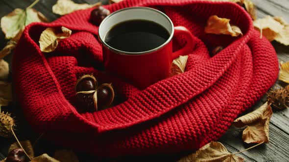 Leaves and Nuts Near Scarf and Hot Beverage