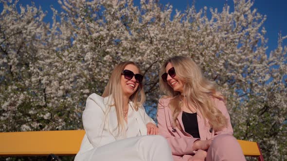 Young adult women spending time together at park outdoors. Two females persons sitting talking