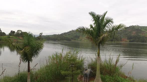 Aerial view of Lake Bunyonyi, Uganda  