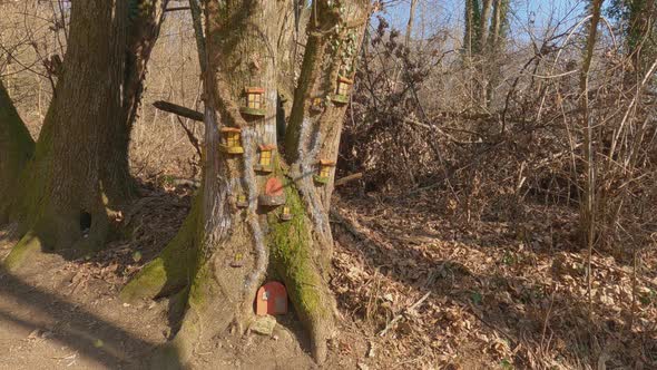 Fairy little elf houses on tree trunk on Invorio trail of elves in Italy