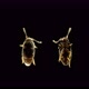 Beetle of the Family Ptiliidae Under a Microscope - VideoHive Item for Sale