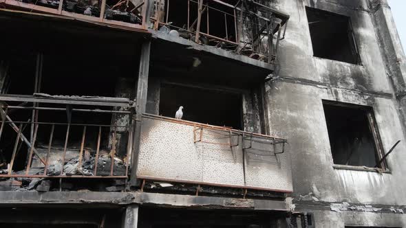 War in Ukraine  Burnt and Destroyed House in Kyiv