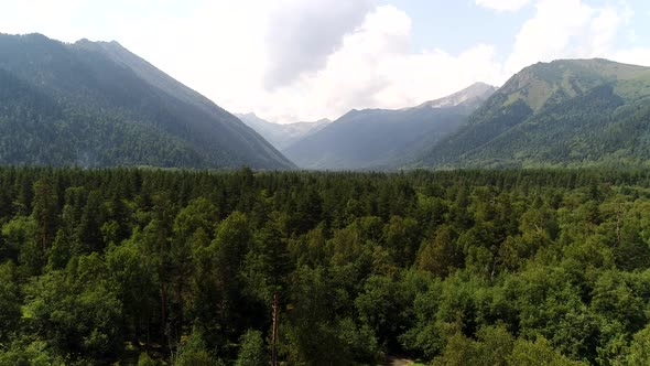 Aerial Green Pine Forest and Mountain Peaks