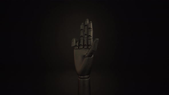 Wooden hand - Number 4