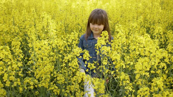Cute Happy Little Girl 6-8 Years Old Walking in the Summer in a Yellow Canola Field