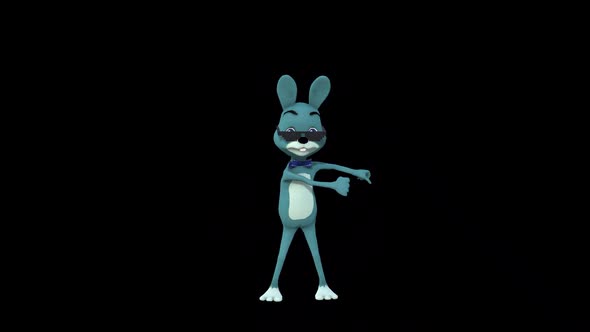 Cartoon Mr.Rabbit Dance 9