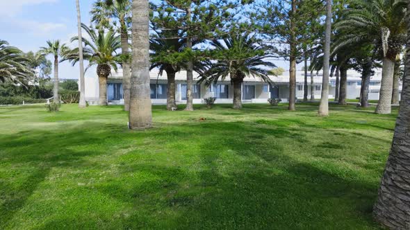 Park with Palm Trees in the Tourist City of Cyprus Sunny Day with Beautiful Weather Summer Resort