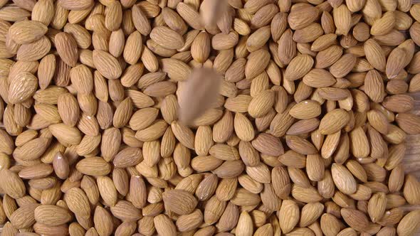 Brown Almonds Fall on a Pile of Peeled Nuts