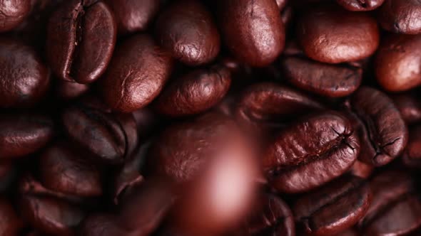 Coffee beans falling down on coffee beans in slowmotion