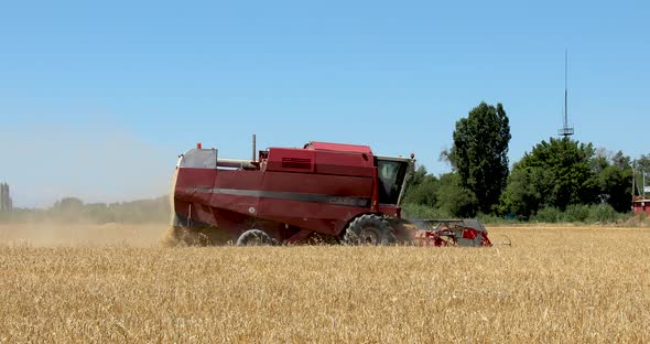 Combine harvester working on a barley field on sunny summer day