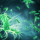 Microbe Bg - VideoHive Item for Sale