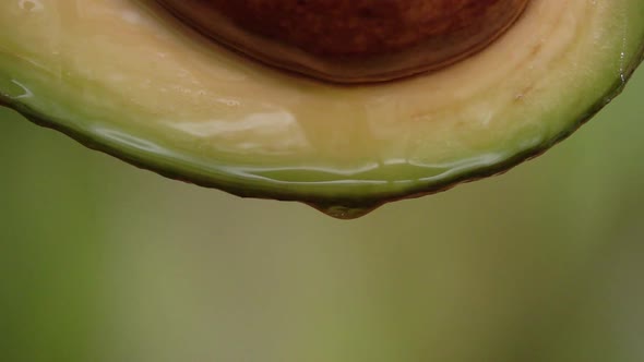 Fresh Avocado and Oil in Slow Motion