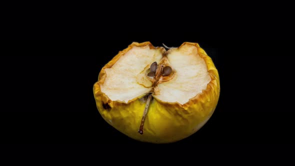 Apple Decaying - 4K