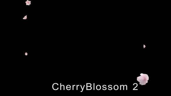 Cherry Blossom 2 Pack 4K alt