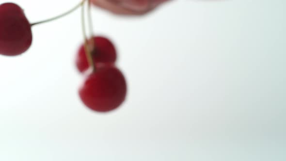 Cherries spinning in the air. Slow Motion.