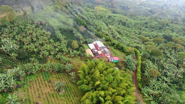 Coffee farm in the mountains of Colombia