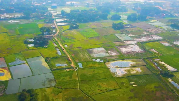 Dramatic aerial views of rural rice fields near Dhaka Bangladesh, sweeping panoramic