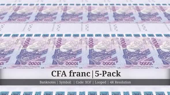 CFA franc | West African States Currency - 5 Pack | 4K Resolution | Looped