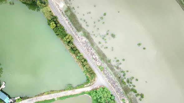 Top view of flying Fish hatchery pond 