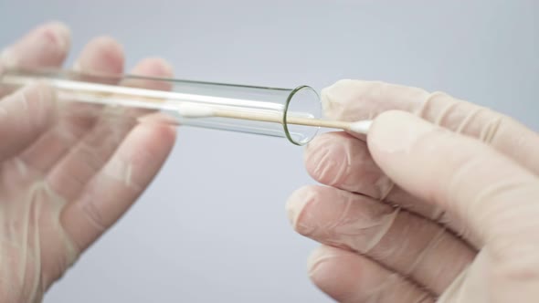 A Virologist Puts a Cotton Swab Into a Test Tube to Examine a Smear From the Lungs