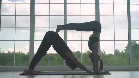 Wellness Man and a Woman Do Yoga Together Perform Stands and Muscle Stretching Joint Training of a